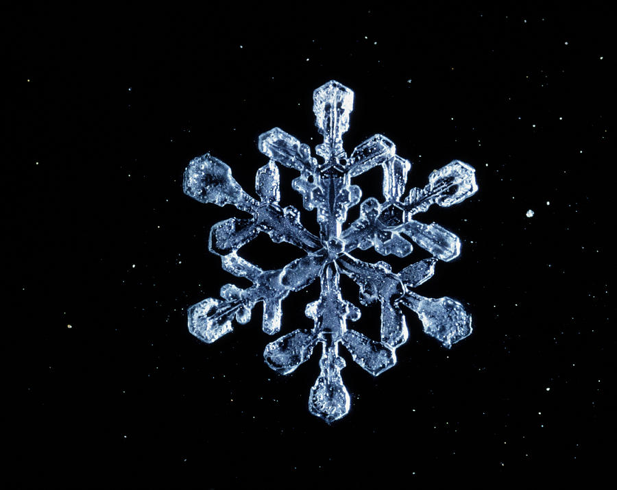 Snowflake #14 Photograph by Perennou Nuridsany