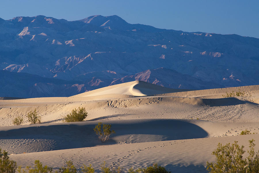 Death Valley National Park Photograph - The Mesquite Sand Dunes #14 by Roderick Bley