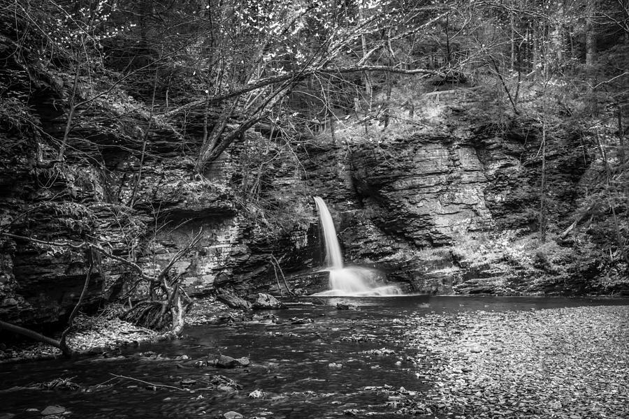 Waterfalls George W Childs National Park Painted BW   #14 Photograph by Rich Franco