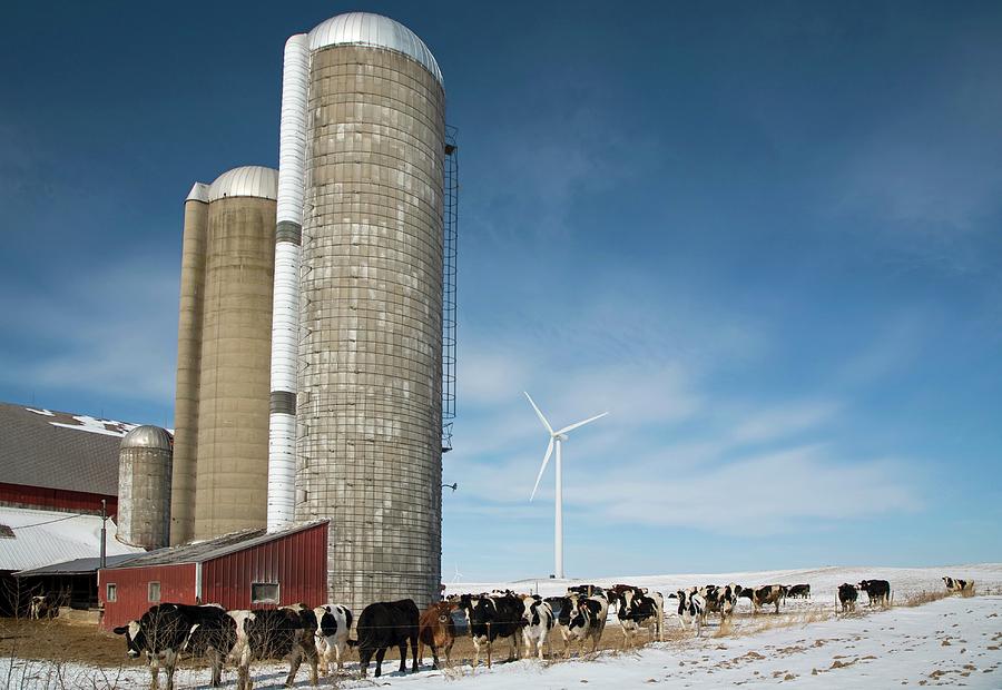 Wind Farm #14 Photograph by Jim West