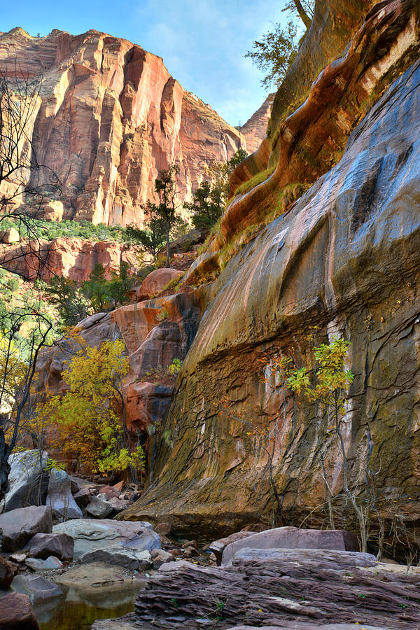 Zion National Park #15 Photograph by Ray Mathis