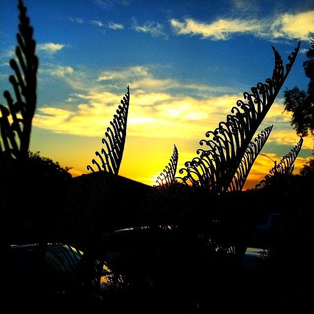 Sunset Photograph - Instagram Photo #141394854123 by Rick  Annette