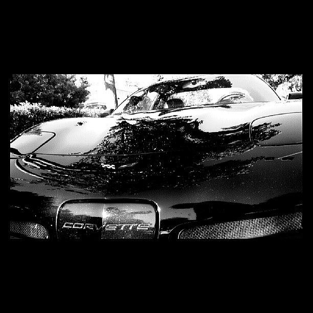 147/365 - A Corvette. Black & Sexy! #147365 Photograph by Julia Reyes