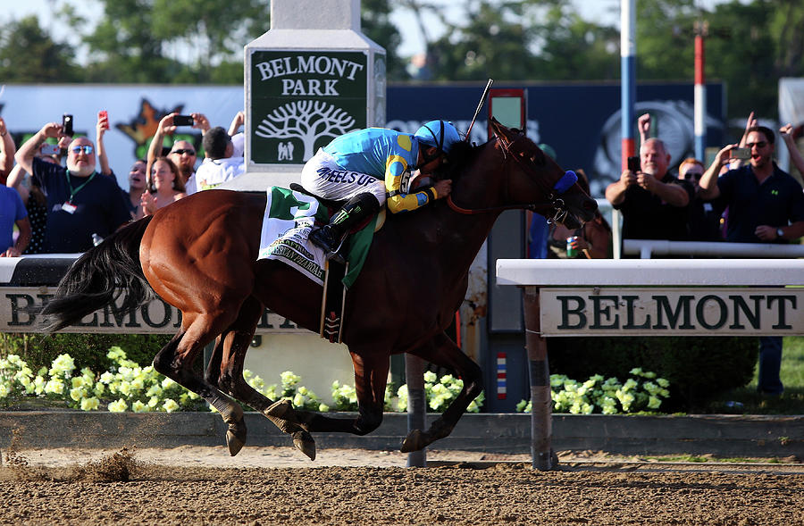 147th Belmont Stakes Photograph by Travis Lindquist