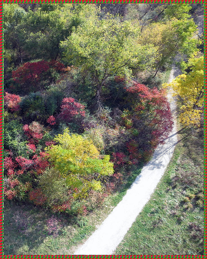 Flower Mixed Media -    Canadian Fall Season Colors Oakville Ontario Lyon Ridge Trail River Stream Picknic spot bird watc #15 by Navin Joshi