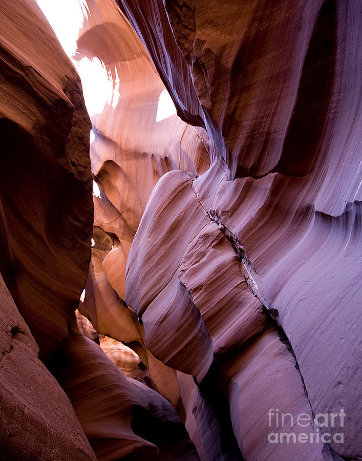 Gallery Photograph - Antelope Canyon #15 by Richard Smukler