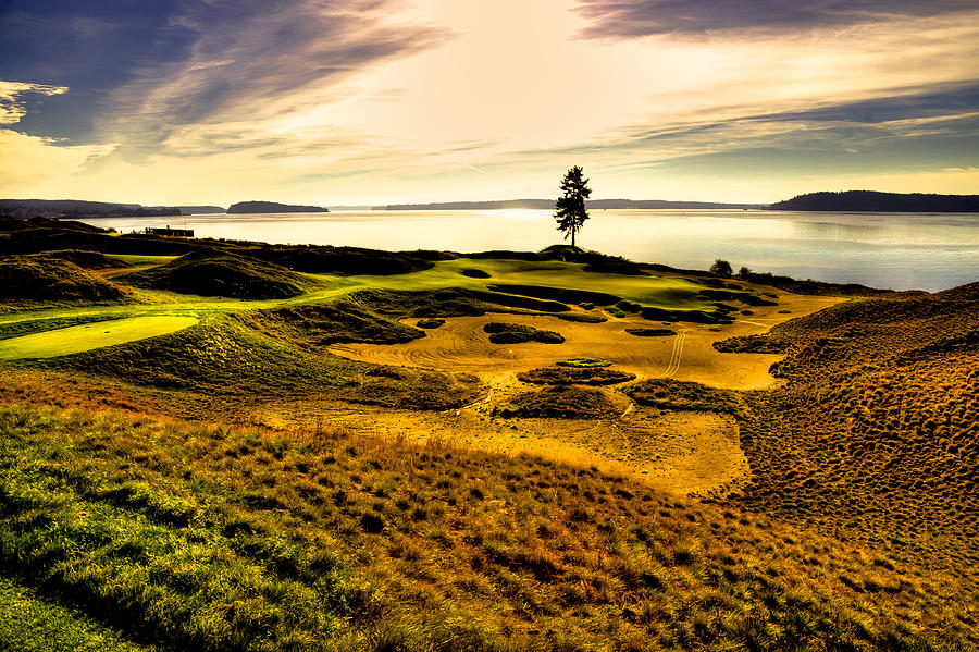 Golf Photograph - #15 at Chambers Bay Golf Course  #15 by David Patterson