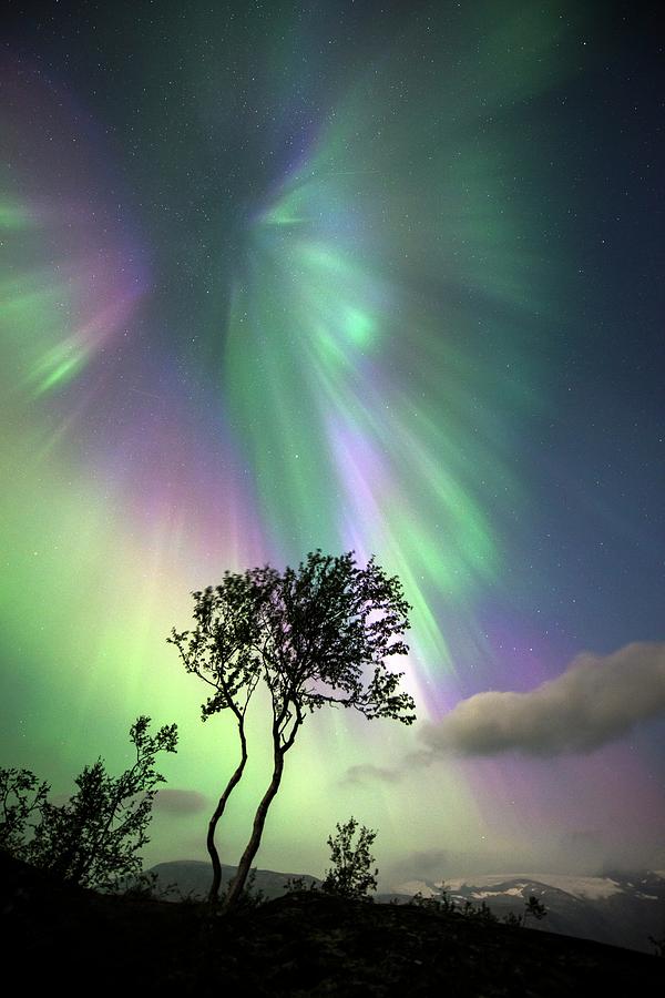 Aurora Borealis #15 Photograph by Tommy Eliassen