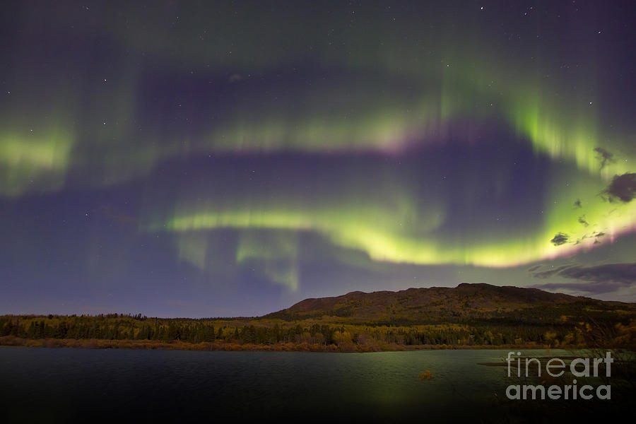 Space Photograph - Aurora Borealis With Moonlight At Fish #15 by Joseph Bradley