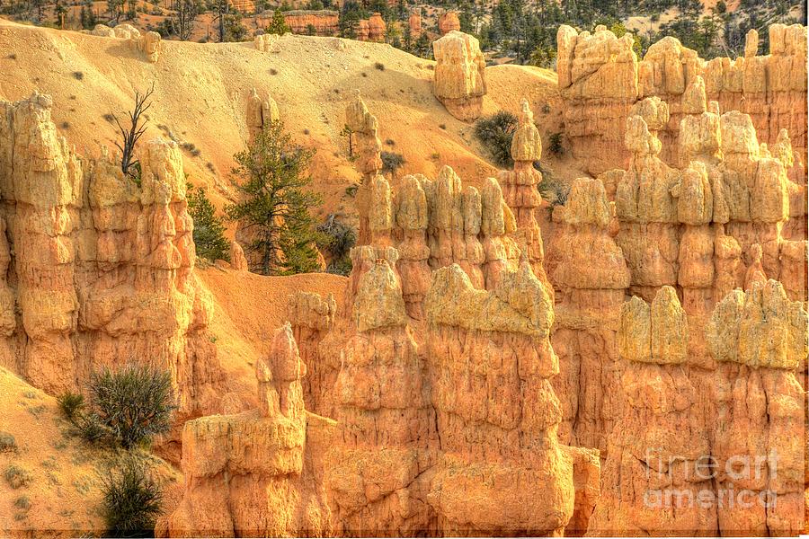 Bryce Canyon #15 Photograph by Marc Bittan