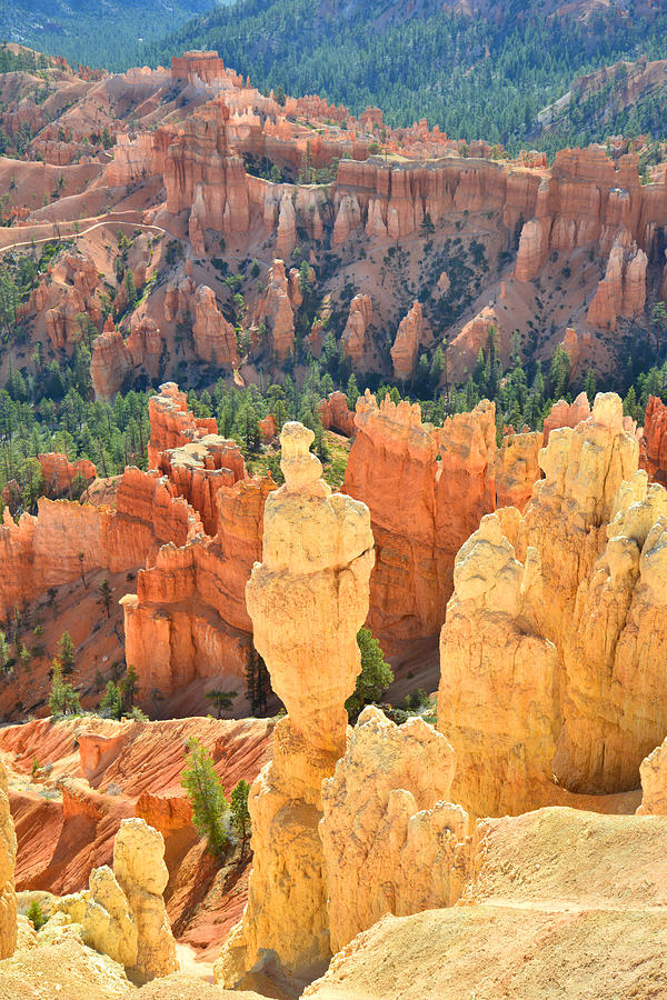 Bryce Canyon National Park Photograph - Bryce Canyon #22 by Ray Mathis