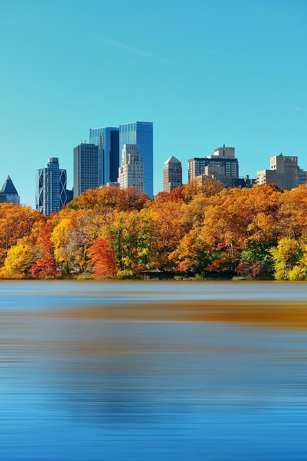 Central Park Autumn Photograph