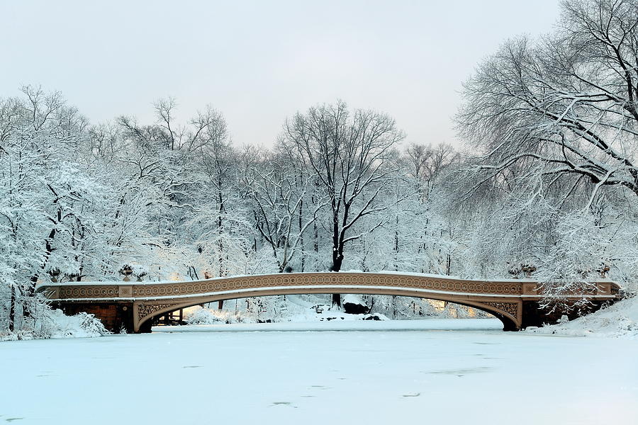 Central Park winter #15 Photograph by Songquan Deng