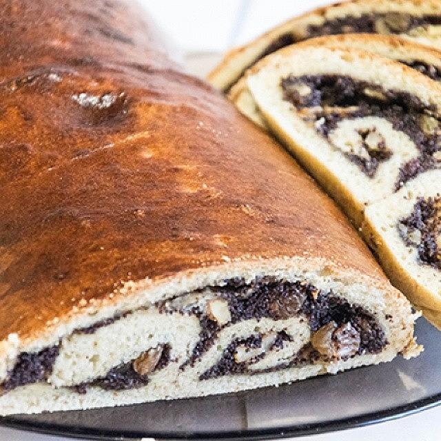 Comment Photograph - Poppy seed roll with raisins by Marina Peskova