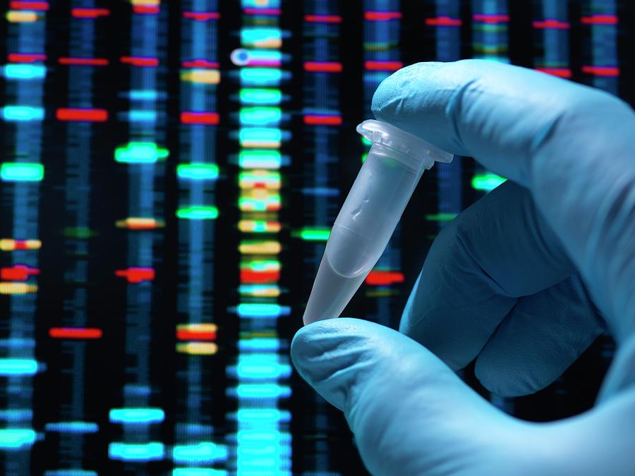 Dna Research #15 Photograph by Tek Image/science Photo Library