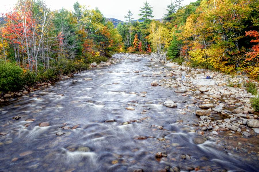 Fall Foliage in New Hampshire #15 Photograph by Paul James Bannerman