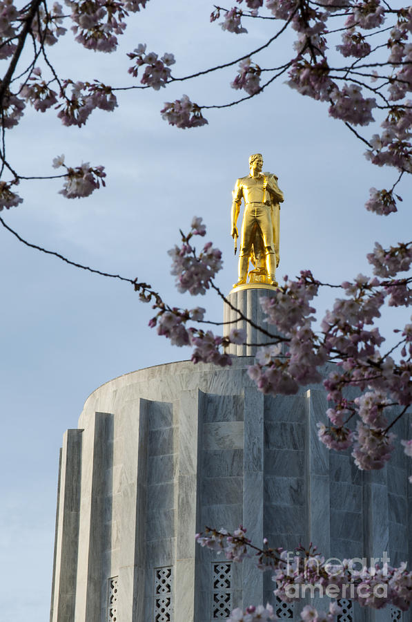 Salem Photograph - Gold Man and Cherry Blossoms #15 by M J