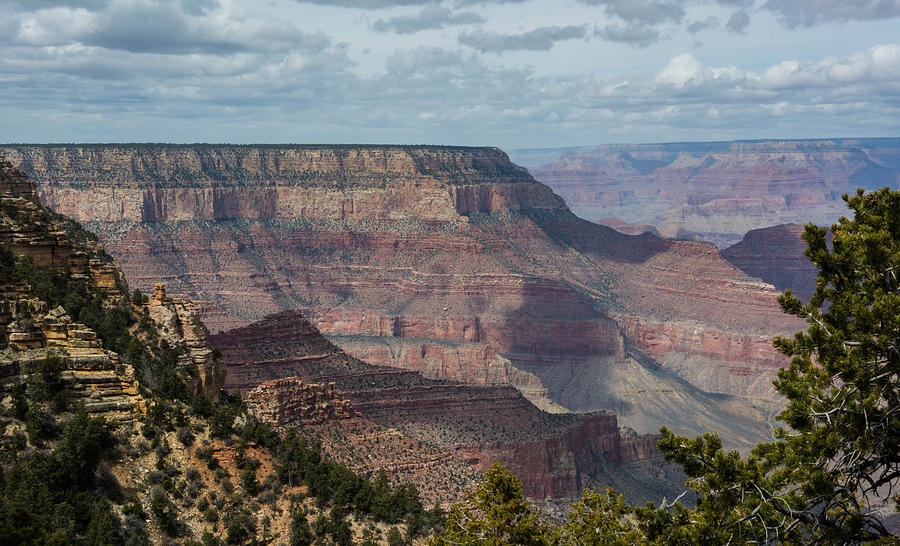 Grand Canyon National Park #18 Photograph by Michael Moriarty Grand Canyon National Park #18 Photograph by Michael Moriarty