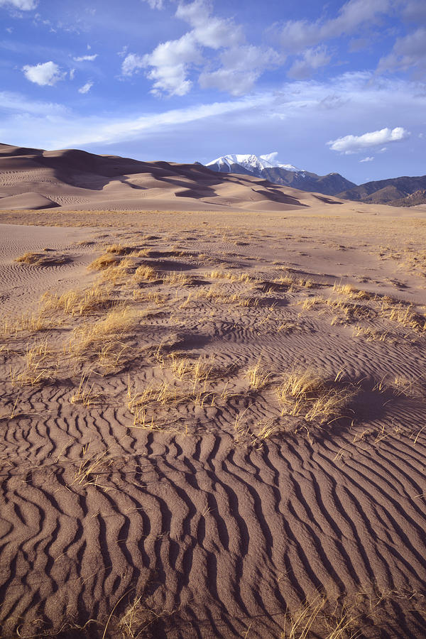 Great Sand Dunes #15 Photograph by Ray Mathis