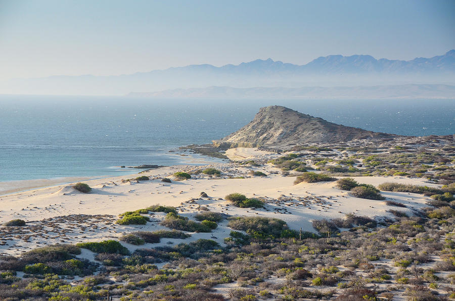 Baja Photograph - Isla De Espiritu Santo, Baja, Mexico #15 by Mark Williford