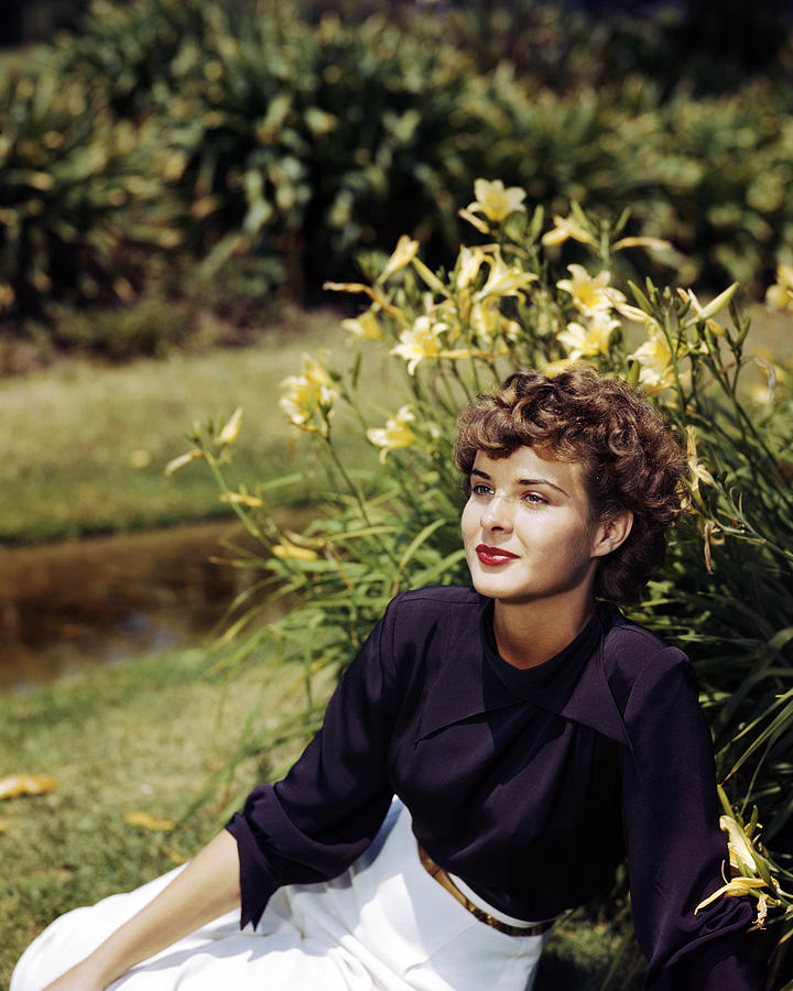 Jean Peters #15 Photograph by Silver Screen