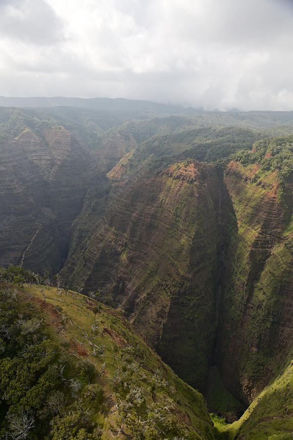 Kauai Canyons #15 Photograph by Steven Lapkin