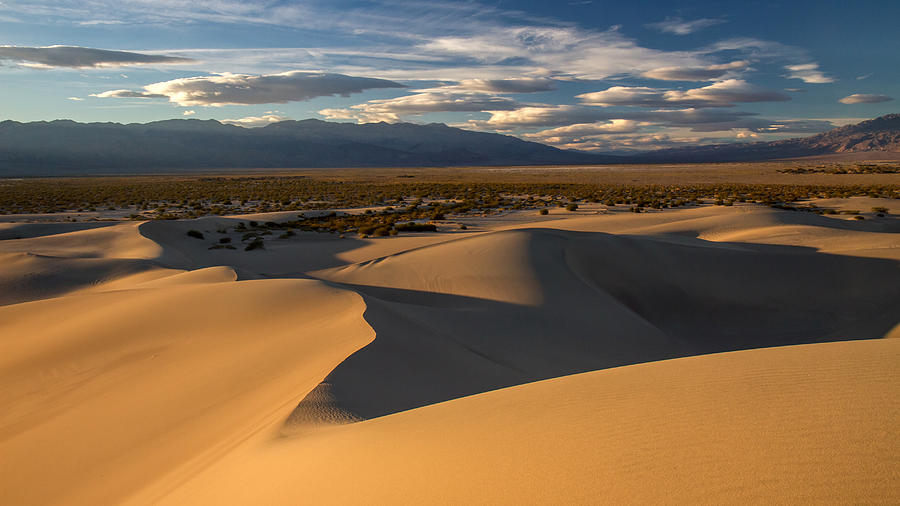 Mesquite Sand dunes in Death Valley National park #15 Photograph by Pierre Leclerc Photography