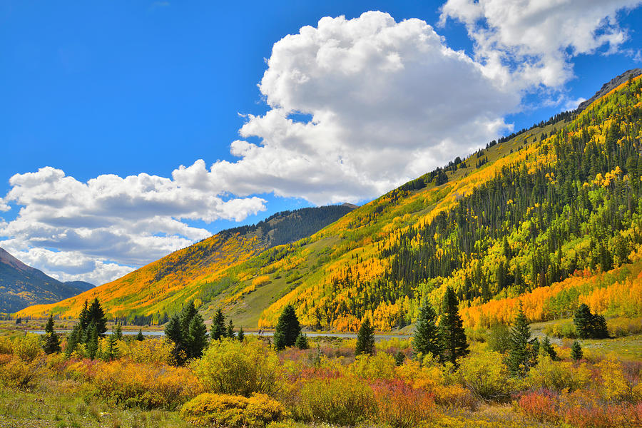 Red Mountain Pass Fall Colors #28 Photograph by Ray Mathis