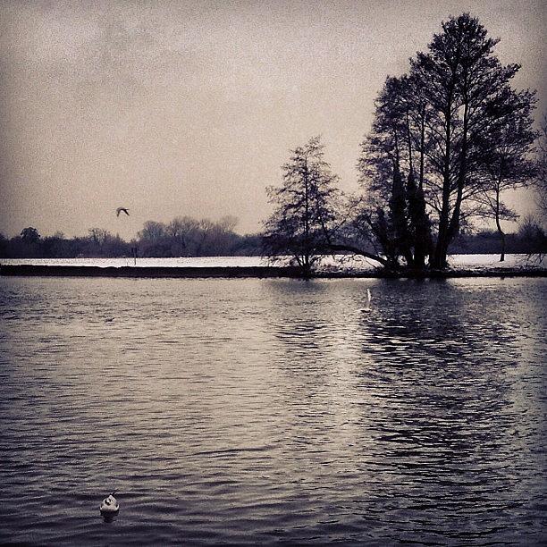 1/5: The River Thames At Windsor #15 Photograph by Sally Gurney