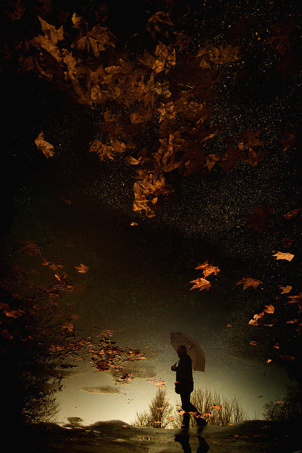 Fall Photograph - Untitled #15 by Antonio Grambone