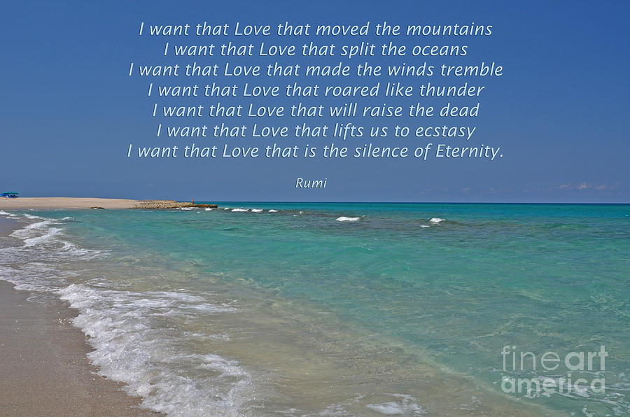 151- Rumi Photograph by Joseph Keane