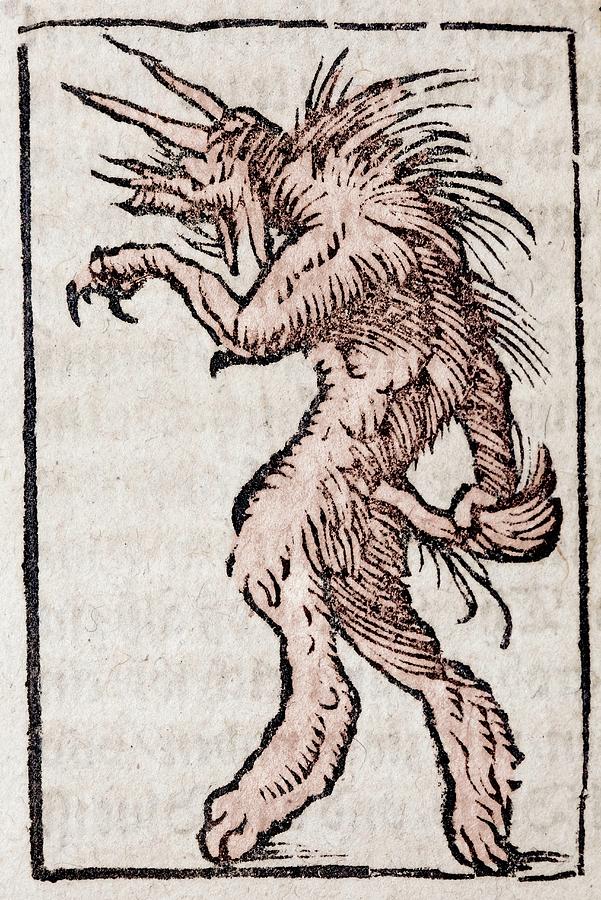 1554 Munster Lycanthrope Werewolf Demon Photograph by Paul D Stewart