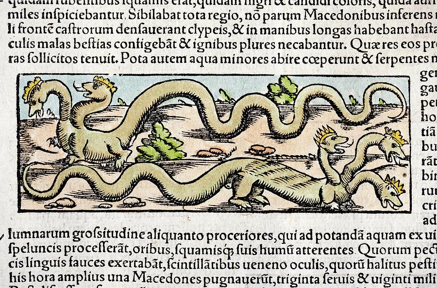 1560 Munster Comographia Hydra Dragons Photograph by Paul D Stewart