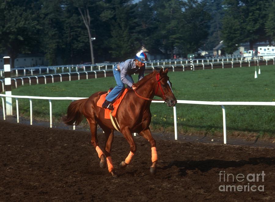 Affirmed #18 Photograph by Marc Bittan