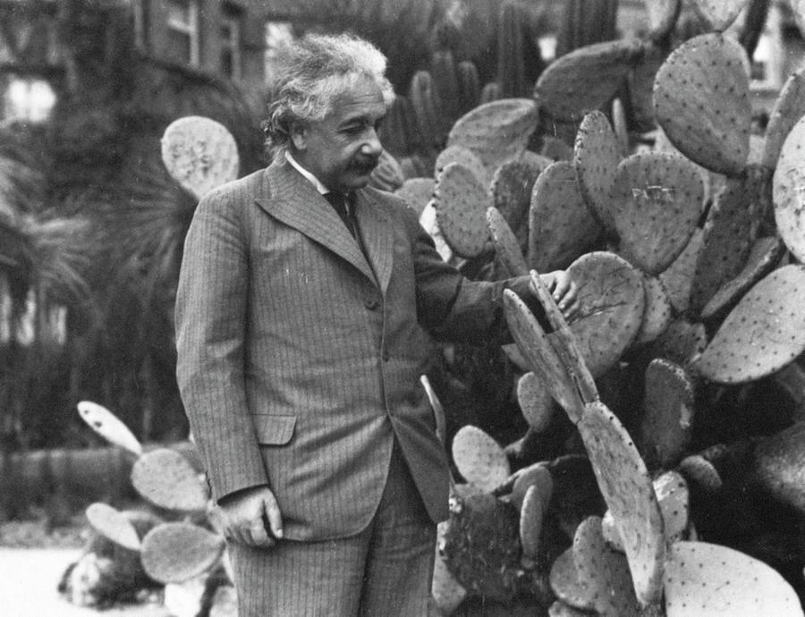 Albert Einstein (1879-1955) #16 Photograph by Granger