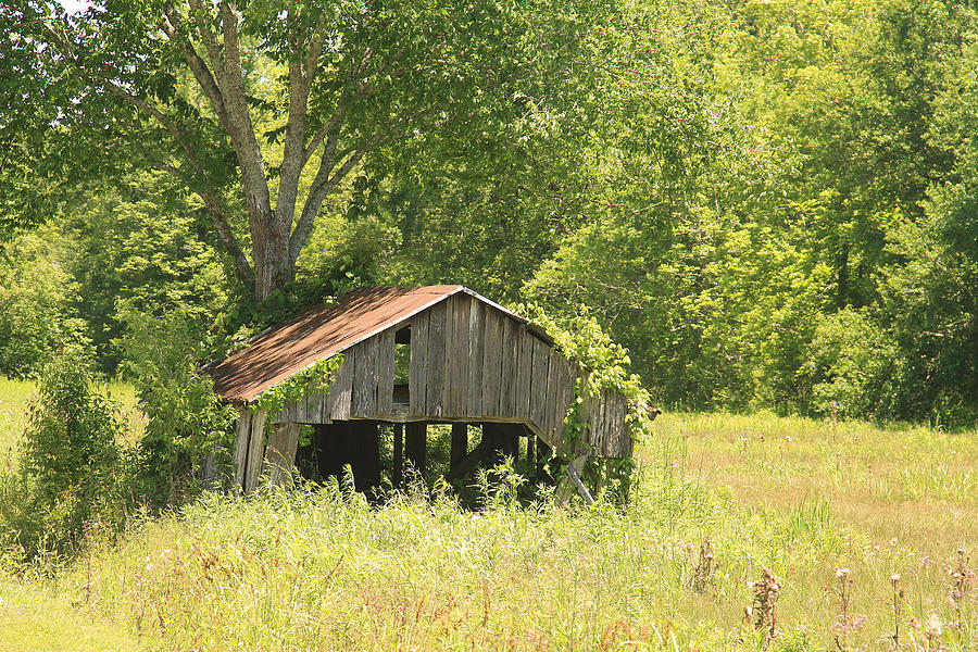 Barn #16 Photograph by Ronald Olivier - Pixels