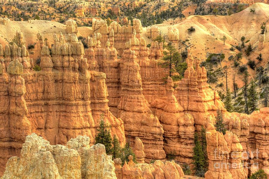 Bryce Canyon  #16 Photograph by Marc Bittan