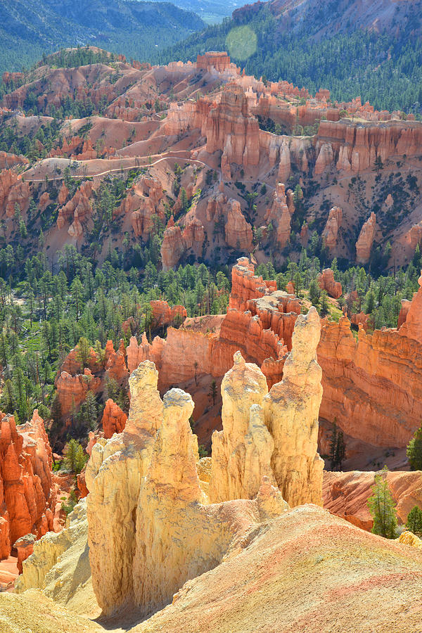 Bryce Canyon National Park Photograph - Bryce Canyon #26 by Ray Mathis