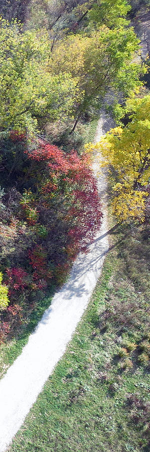 Canadian Fall Season Colors Oakville Ontario Lyon Ridge Trail River Stream Picknic Spot Bird Watch C Mixed Media