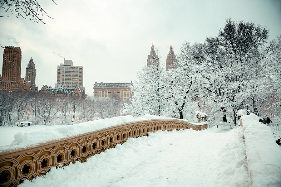 Central Park winter #16 Photograph by Songquan Deng
