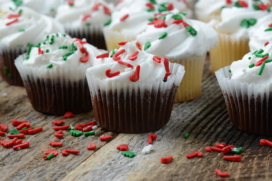 Chocolate And Vanilla Christmas Cupcakes Photograph
