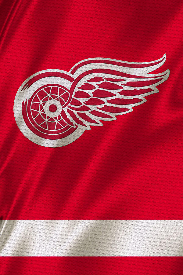 14,532 Detroit Red Wings 4 1 Stock Photos, High-Res Pictures, and Images -  Getty Images