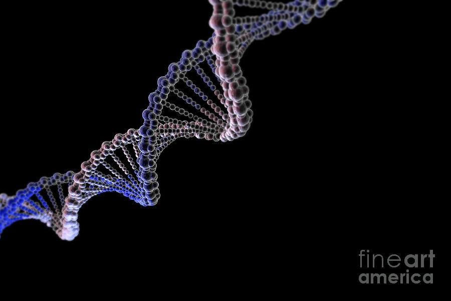 Dna #16 Photograph by Science Picture Co