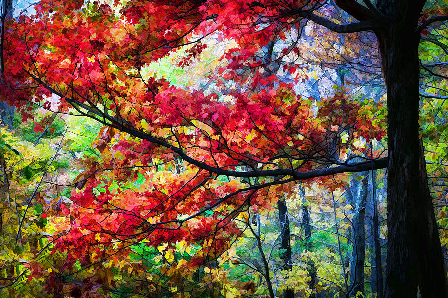 Fall Foliage Great Smoky Mountains Painted #17 Photograph by Rich Franco