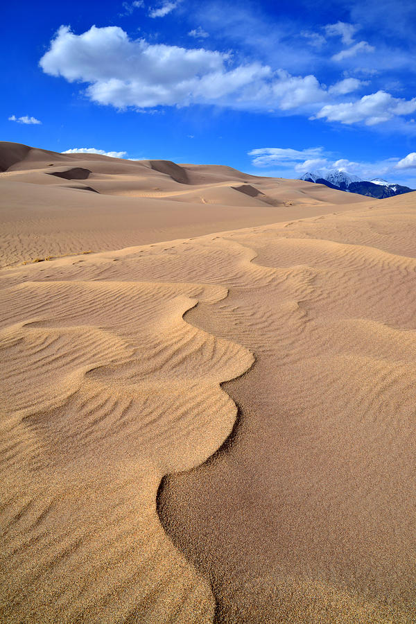 Great Sand Dunes #16 Photograph by Ray Mathis
