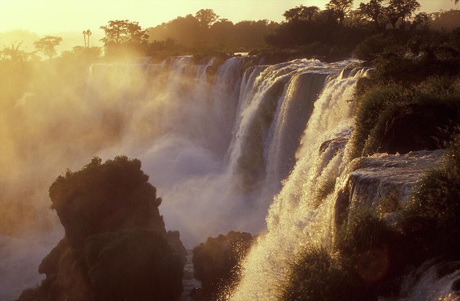 Jungle Photograph - Iguazu Falls National Park, Argentina #16 by Javier Etcheverry