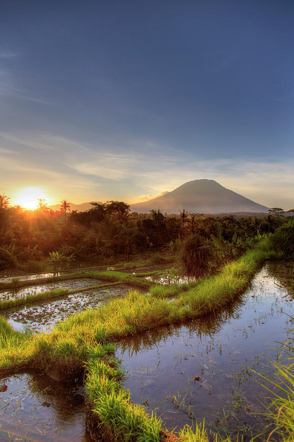 Indonesia, Bali, Rice Fields And #16 Photograph by Michele Falzone