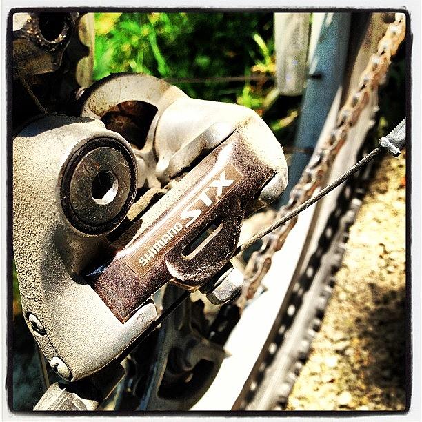 Bicycle Photograph - Instagram Photo #16 by Dwight Darling
