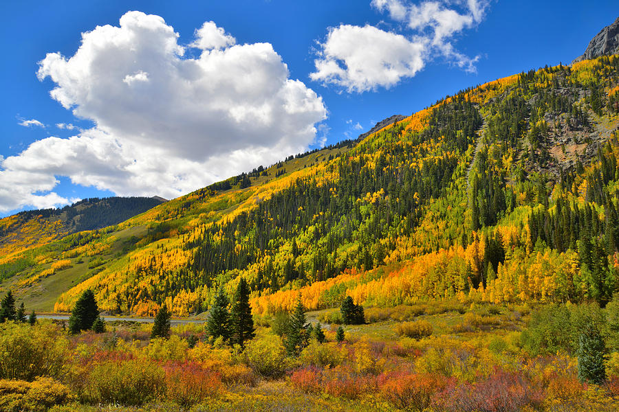 Red Mountain Pass Fall Colors #14 Photograph by Ray Mathis