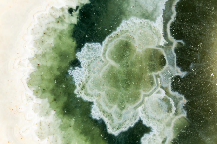 Green Rock Detail Photograph by Jean Noren